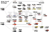 Gene Tree of Nishikigoi