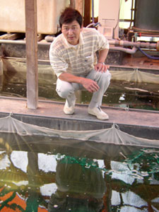 Koshiji Koi Farm