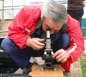 Checking scales with a microscope